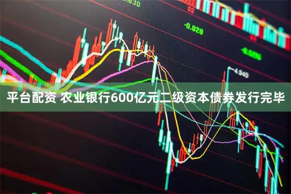 平台配资 农业银行600亿元二级资本债券发行完毕