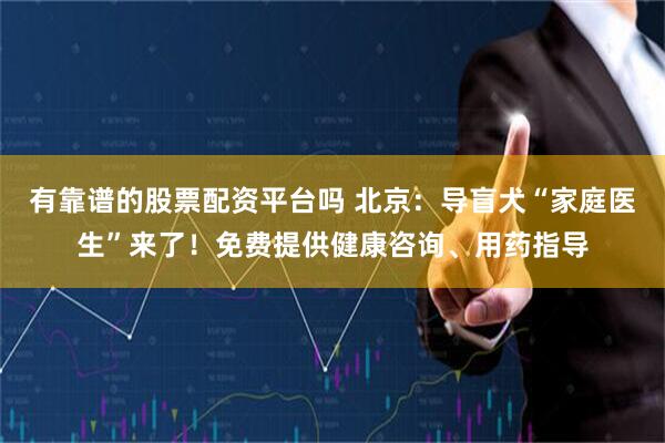 有靠谱的股票配资平台吗 北京：导盲犬“家庭医生”来了！免费提供健康咨询、用药指导